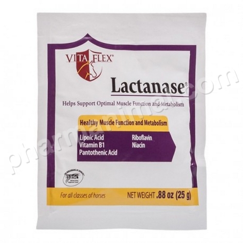 LACTANASE   sach/25 g 	pdr or carton de 12