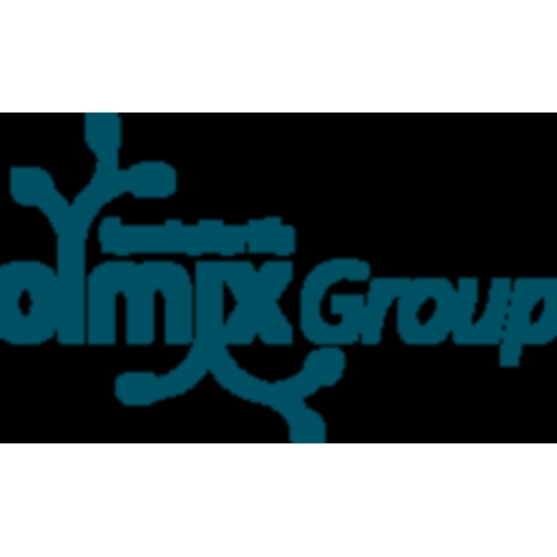 OLMIX GROUP