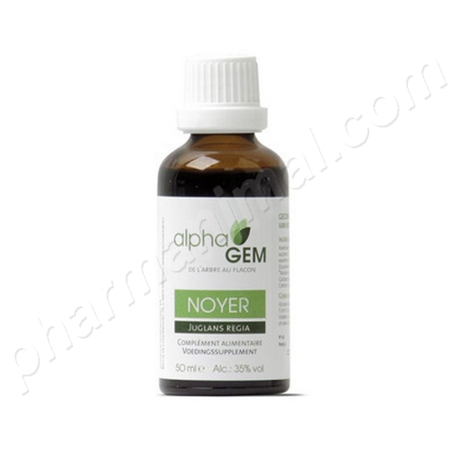 Noyer (Juglans regia) bourgeon unitaire BIO, 50 ml de Alphagem