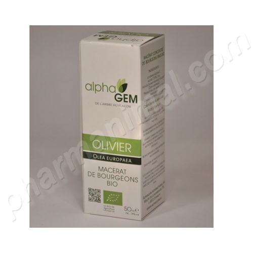 Olivier (Olea europaea) bourgeon BIO, 50 ml de Alphagem