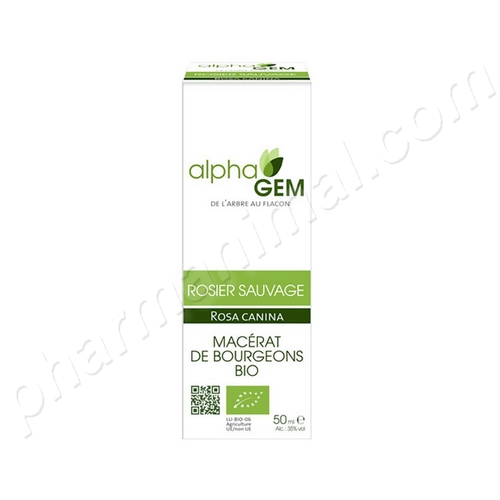 Rosier sauvage (Rosa canina) bourgeon BIO, 50 ml de Alphagem Rosier sauvage (Rosa canina) bourgeon BIO, 50 ml de Alphagem