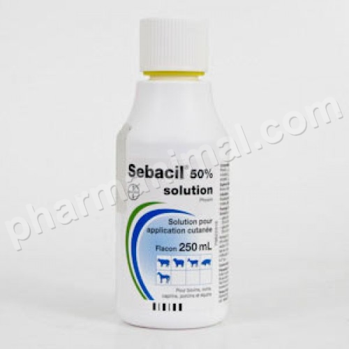 SEBACIL FL/250 ML (ordonnance obligatoire)