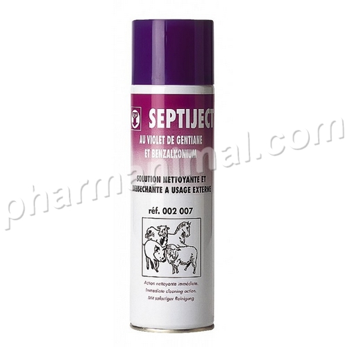 BOMBE ANTISEP SEPTIJECT   500 ml