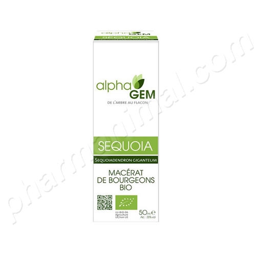Séquoia (Sequoiadendron gigenteum) bourgeon BIO, 50 ml Séquoia (Sequoiadendron gigenteum) bourgeon BIO, 50 ml
