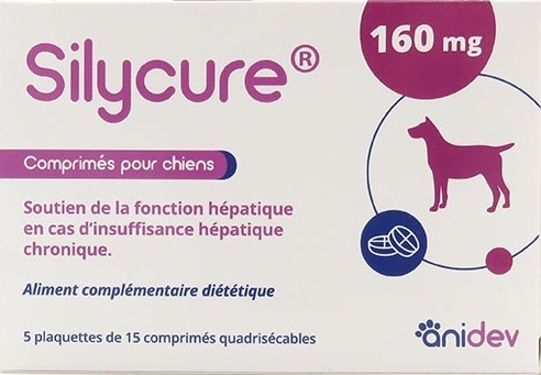 SILYCURE 160 MG     b/75      cpr