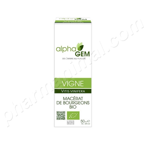 Vigne (Vitis vinifera) bourgeon unitaire BIO, 50 ml de Alphagem