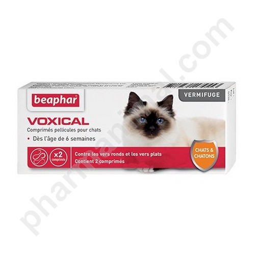 VOXICAL CHAT CHATON b/2 cpr VOXICAL CHAT CHATON b/2 cpr