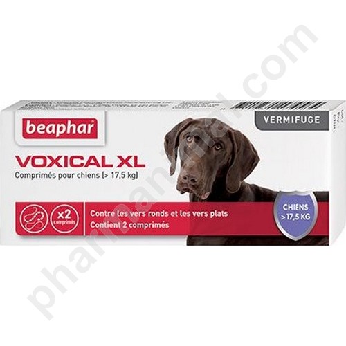 VOXICAL CHIEN (>17,5 KG)       	b/2       cpr