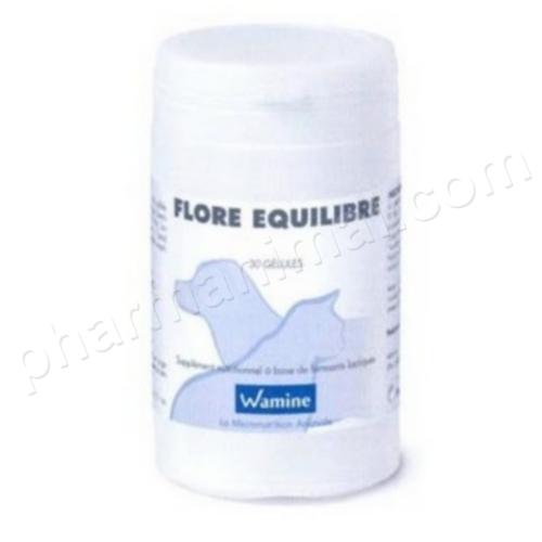 WAMINE FLORE EQUILIBRE  b/30 gel  **