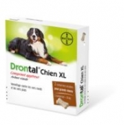 DRONTAL  P XL CHIEN COMP unit vrac