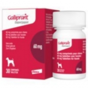 GALLIPRANT 100 MG (34,1-100KG) 	b/30      	 cpr