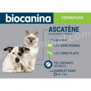 ASCATENE   b/10      	cpr  ***