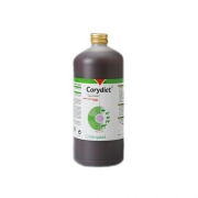 CORYDIET BID/1 LITRE  = DYSPEPTYL LITRE