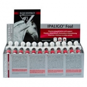 EQUISTRO IPALIGO FOAL          	b/3*14 g  	pate or