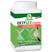 EKYFLEX REPAIR TENDON POT/1.2 KG **