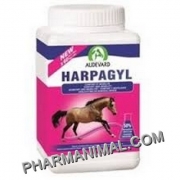 HARPAGYL B/450 G **