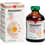 KYNOSELEN fl/100 ml sol inj (ordonnance obligatoire)