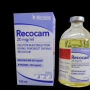 RECOCAM 20 MG/ML               	fl/100 ml sol inj