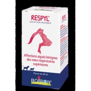 RESPYL (EX PVB TROU.RESPIR)    	fl/30 ml  sol buv