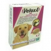 VELOXA XL CHIEN COMPRIME A CROQUER B/2 PAR 24 BOITES  ***