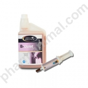 B QUIET SERINGUE    ser/60 ml pate or