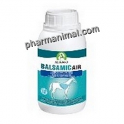 BALSAMIC AIR B/500 ML  **