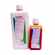 DYSPEPTIL fl/250 ml sol buv