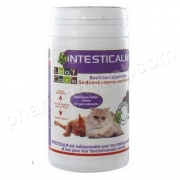 INTESTICALM CHAT               	b/40 g    	boulette