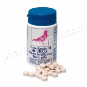 PILULES FORTIFIANTES PIGEON    	b/250