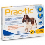 PRAC-TIC CHIEN MOYEN (11-22) PLAQUETTE DE 6  ******************