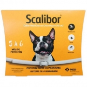 SCALIBOR PETIT MOY.CHIEN    b/1*20     	collier