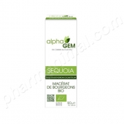 Squoia (Sequoiadendron gigenteum) bourgeon BIO, 50 ml