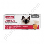 VOXICAL CHAT CHATON            	b/2       cpr
